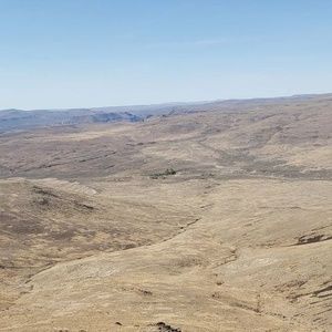 Meet your Posher, Sean